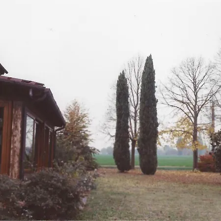 Cedrara